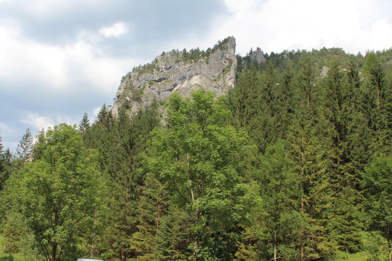 Apartman Romanna Terchová エクステリア 写真